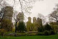 central park 3.jpg